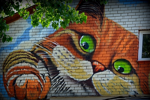 Второй граффити‐парк появится в Краснодаре