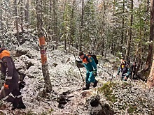 Уже более 200 человек задействовано в поисках семьи Усольцевых