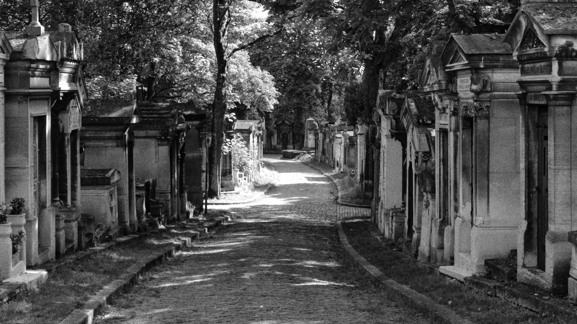 Древний некрополь вновь исследовали археологи в Балезино