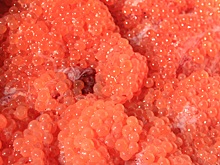 Браконьеры напали на инспекторов рыбоохраны на Камчатке