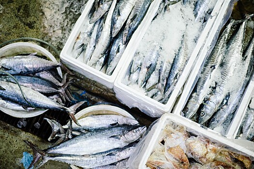 Переработчики рыбы могут получить господдержку по образцу переработчиков животноводческой отрасли