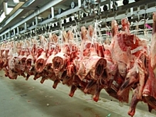 Казахстан начнет экспортировать в Китай мясо и мед