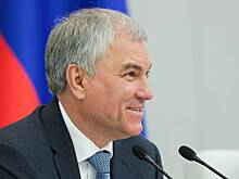 Володин назвал число принятых Госдумой законов в 2023 году