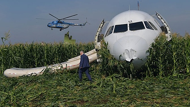 Чудо под Жуковским: о посадке в кукурузу выйдет фильм