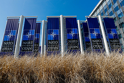 В МИД призвали страны НАТО «включить голову» и отвести ситуацию от опасной черты