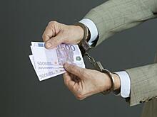 Житель Новосибирска создал схему, позволившую ежедневно выводить деньги за рубеж