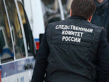СК просит арестовать подругу избитого депутата