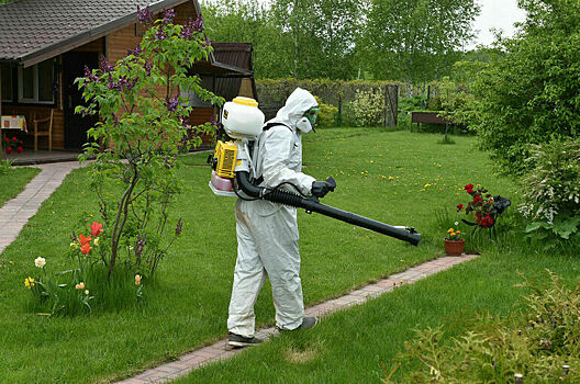 К медикам из-за укусов клещей обратились 185 тысяч россиян