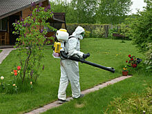 К медикам из-за укусов клещей обратились 185 тысяч россиян