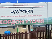 В Даурском заповеднике в Забайкалье построят смотровые площадки для наблюдения за птицами