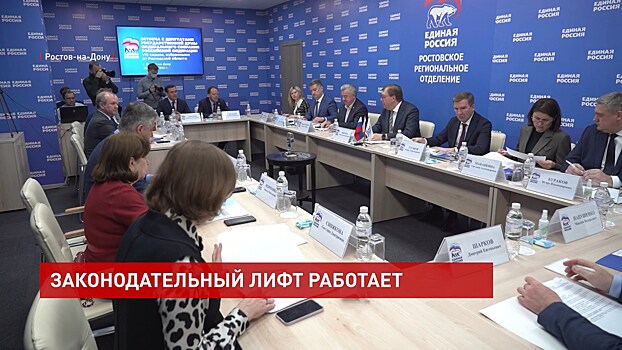 Депутаты донского парламента обсудили с коллегами из Госдумы 8 инициатив социальной поддержки граждан