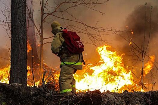 В Красноярском крае на помощь пострадавшим от майских пожаров выделили более 1 млрд рублей