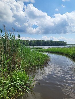 В Удмуртии разрабатывают маршрут для сплава в природном парке «Усть-Бельск»
