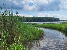 В Удмуртии разрабатывают маршрут для сплава в природном парке «Усть-Бельск»