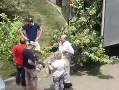 Собственники незаконных ларьков спилили деревья в Краснодаре