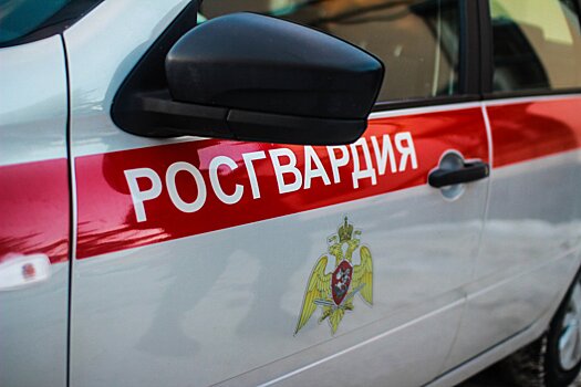 Росгвардейцы изъяли у юноши в центре Москвы два пакетика мефедрона и сильнодействующее обезболивающее
