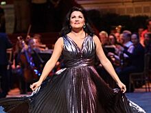 Цены на выступление Анны Нетребко в Италии начинаются от 650 евро