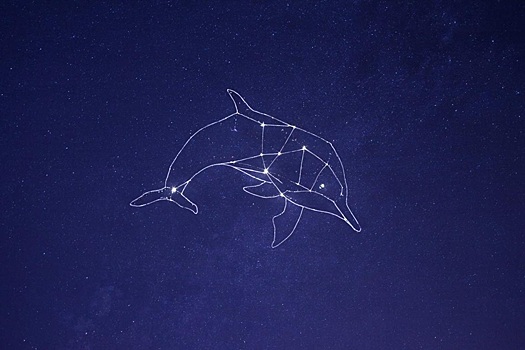 Новосибирский астрофотограф запечатлел редкую туманность «Голова Дельфина» в экстремальных условиях