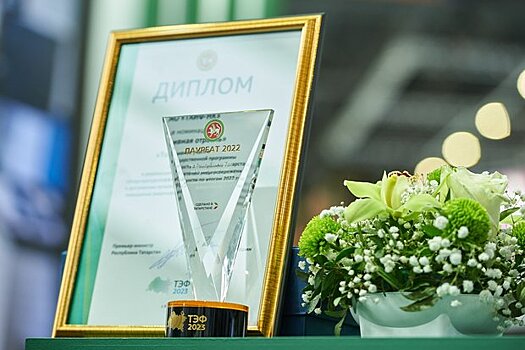 ТАИФ-НК отмечен дипломом республиканского конкурса по энергоэффективности