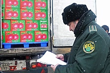 Таможенники и налоговики на Урале обеспечили допдоходы бюджета почти на 1 млрд рублей