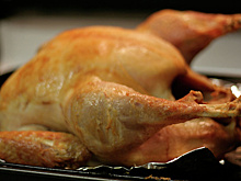 При участии Россельхозбанка в Европе появится крупнейший завод по переработке индейки