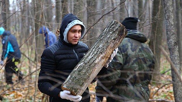 В окрестностях Воронежа лесники очистят от сухостоя 3 тыс. гектаров леса