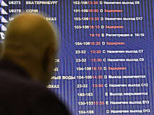 Авиаэксперт Пантелеев: в аэропортах грядут сокращения из-за внедрения биометрии