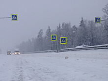 Осторожно, снег: как обжаловать штраф за пересечение «невидимой» сплошной?