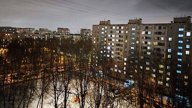 Власти Москвы опровергли сообщения о перебоях с электричеством в Бирюлеве Восточном