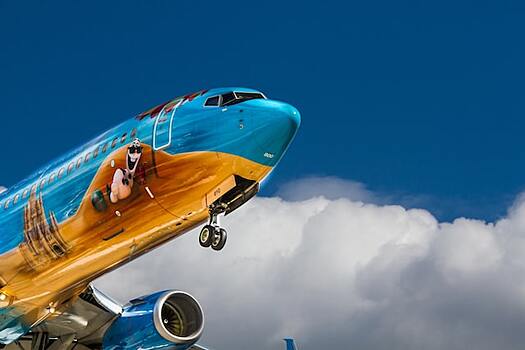 Почему бизнес-класс располагают в носовой части самолета