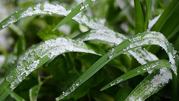 Синоптики предрекают снегопады в Москве