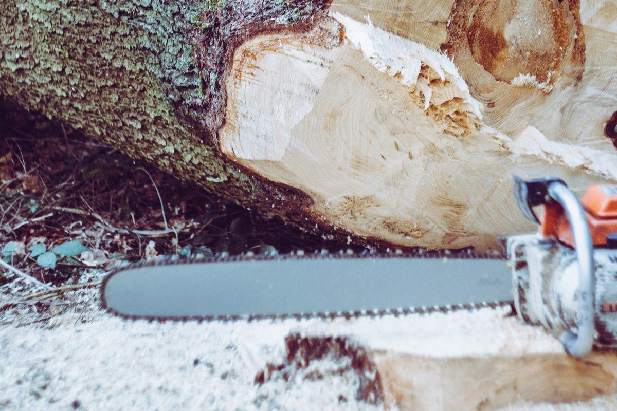 Лесоруб случайно обезглавил себя бензопилой после приема психотропных веществ