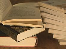 Библиомост с Александром Молчановым проведут 28 января