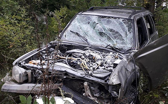 В Рязанском районе джип вылетел в кювет, пострадал семилетний ребёнок