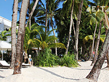 Аэрофлот заменит Турцию Египтом