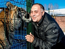 Южноуральский зоозащитник Карен Даллакян уехал спасать животных на Донбасс