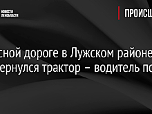 На лесной дороге в Лужском районе перевернулся трактор – водитель погиб