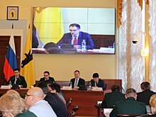Ярославская область за год вошла в число лидеров в ЦФО по борьбе с незаконными вырубками и объемам лесовосстановления