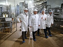 Староминской завод «Сыродел» расширяет производство сыров