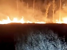 Пожар в Эльтавском лесу произошел на фоне сообщений о незаконной застройке
