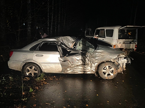 В Удмуртии водитель на иномарке влетел в дерево