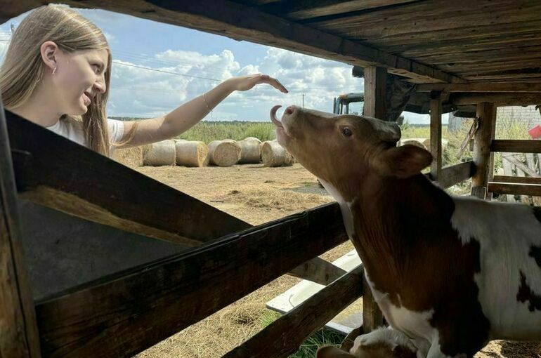 Депутат оценил инициативу по регулированию поголовья в личных подсобных хозяйствах