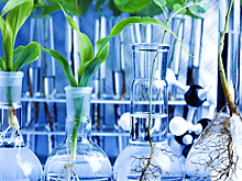 Жизнь как система автокаталитических реакций