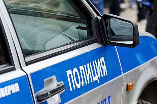 Второй за день мужчина умер в полицейской машине в Московском регионе