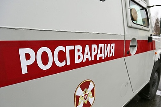 Росгвардейцы задержали грабителей по горячим следам в Орехово‑Зуевском районе