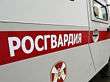 Росгвардейцы задержали грабителей по горячим следам в Орехово‑Зуевском районе