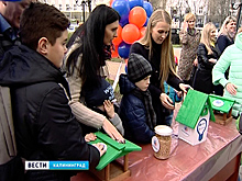 Скворечники для птиц развесили в сквере энергетиков