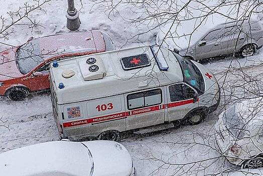 Россиянина раздавило сошедшим с крыши снегом