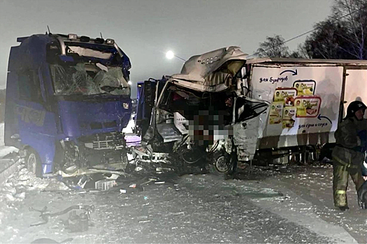 Две фуры столкнулись в лоб в Новосибирской области