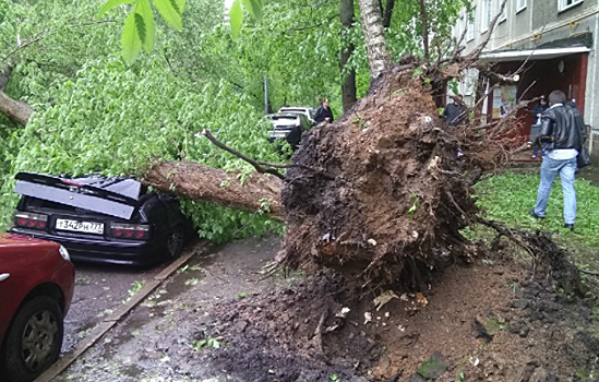 Страховщики начали выплаты пострадавшим от урагана в Москве